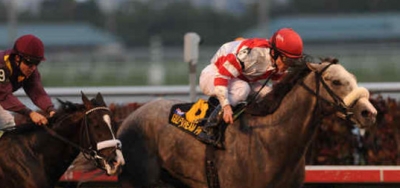 $100,000 Mucho Macho Man Stakes Features Deep Field