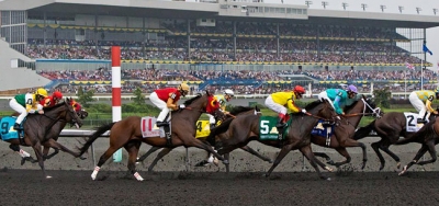 Audacious Bear Faces Eight Fillies in $125,000 South Ocean Stakes