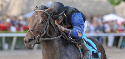 Barbados Going For Third Straight Win in $150,000 Hutcheson Stakes