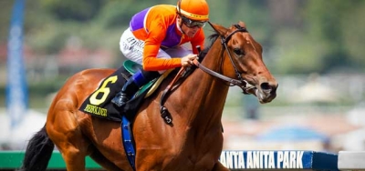 Beholder Taking On The Boys In The $1 Million Pacific Classic