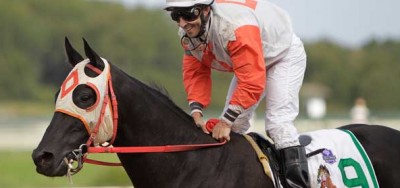 Ben's Cat Takes On Eleven in $125,000 Maryland Million Turf