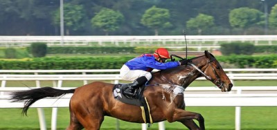 Breeders' Cup: Untapable Looks Beatable Despite Cotillion Win