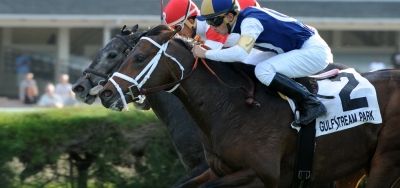 Chief Kitten Tops Field For $200,000 Kent Stakes