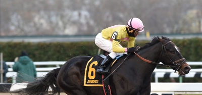 Condo Commando Holds Key to Grade 2 Gazelle