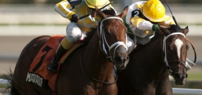 Conquest Twister Taking on Eleven Juveniles in $250,000 Cup and Saucer Stakes