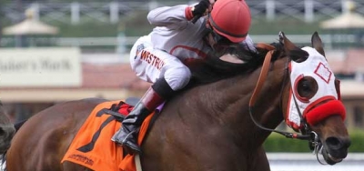 Distinctiv Passion Takes on Five Accomplished Rivals in $200,000 Palos Verdes