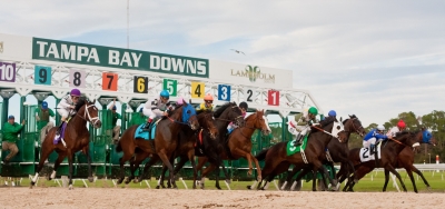 Full Field of Twelve Ready for $100,000 Turf Dash Stakes