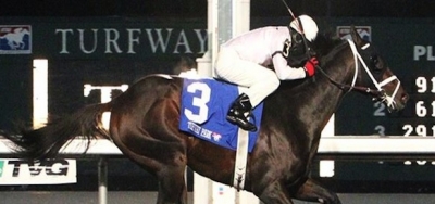 Full Field of Twelve Set for $550,000 Spiral Stakes