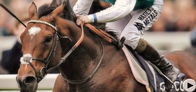 Glory Headlines Full Field of Fourteen in $100,000 Robert J. Frankel Stakes