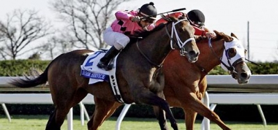 Grade 3 Ben Ali Draws Six Pack