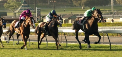 My Day is Year (FR) Facing Full Field in $75,000 Wishing Well Stakes