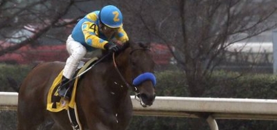 Pharoah Takes on All Challengers in Grade 1 Travers Stakes