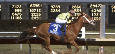 Red Rifle Takes Aim at $125,000 Mineshaft Handicap