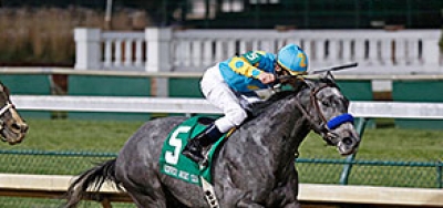 Road to the KY Derby Continues with Grade 3 Gotham Stakes