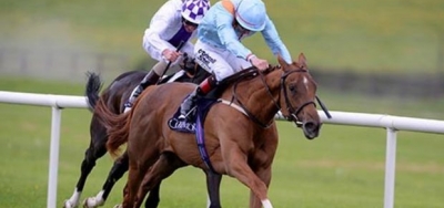 Sandiva (IRE) Headlines International Field for $150,000 Suwanee River