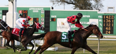 String King to Defend Title in Louisiana Turf