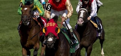 Top Turf Horses From Around the World Set for $1 Million Canadian International