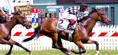 Wide Open Field of Eight Set for $100,000 James W. Murphy Stakes